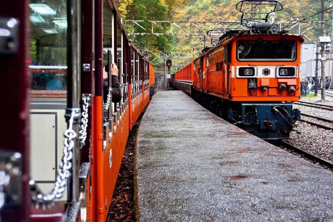 上海赏枫小众景点,小众赏枫