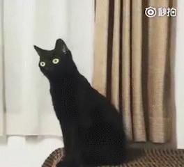 万事屋推介,万事屋哪个好用