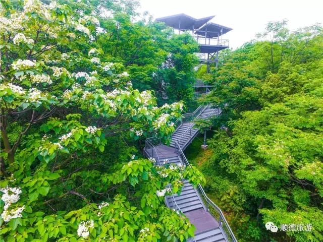 佛山凉快一点景点,佛山附近凉快的地方避暑胜地