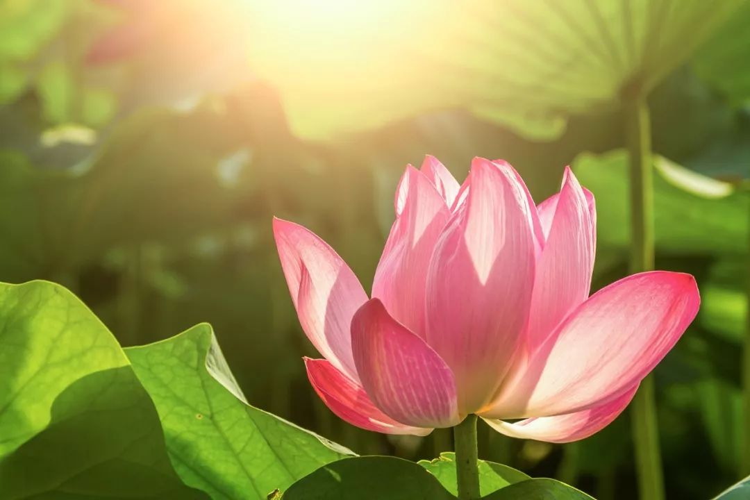 长知识的十本书,一看就错的字100个