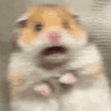 让蚊子快速灭绝的音乐,灭绝的驱蚊神曲