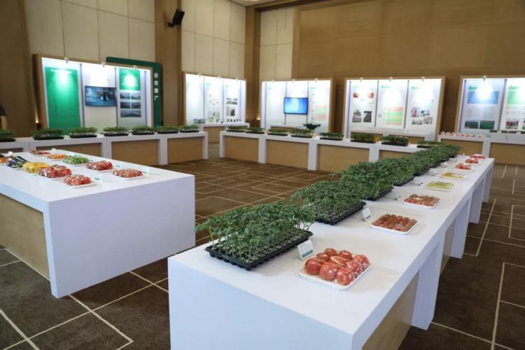 乡村振兴百村示范项目,乡村振兴双百典型示范工程