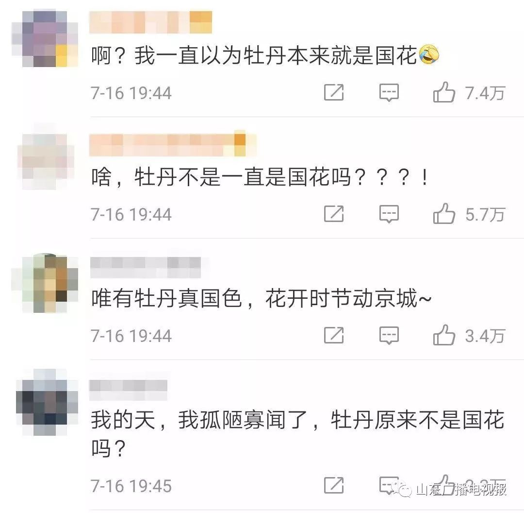 人大代表提议牡丹为国花,建议将牡丹确定为国花