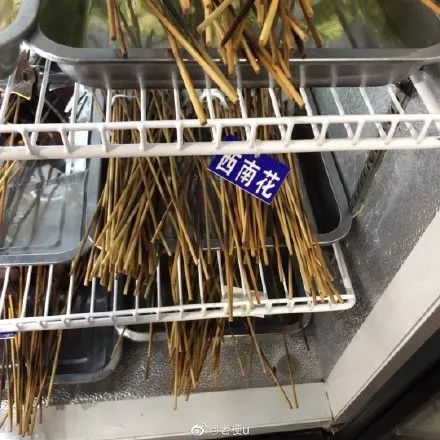 你见过最好笑的段子,写了错别字有多搞笑