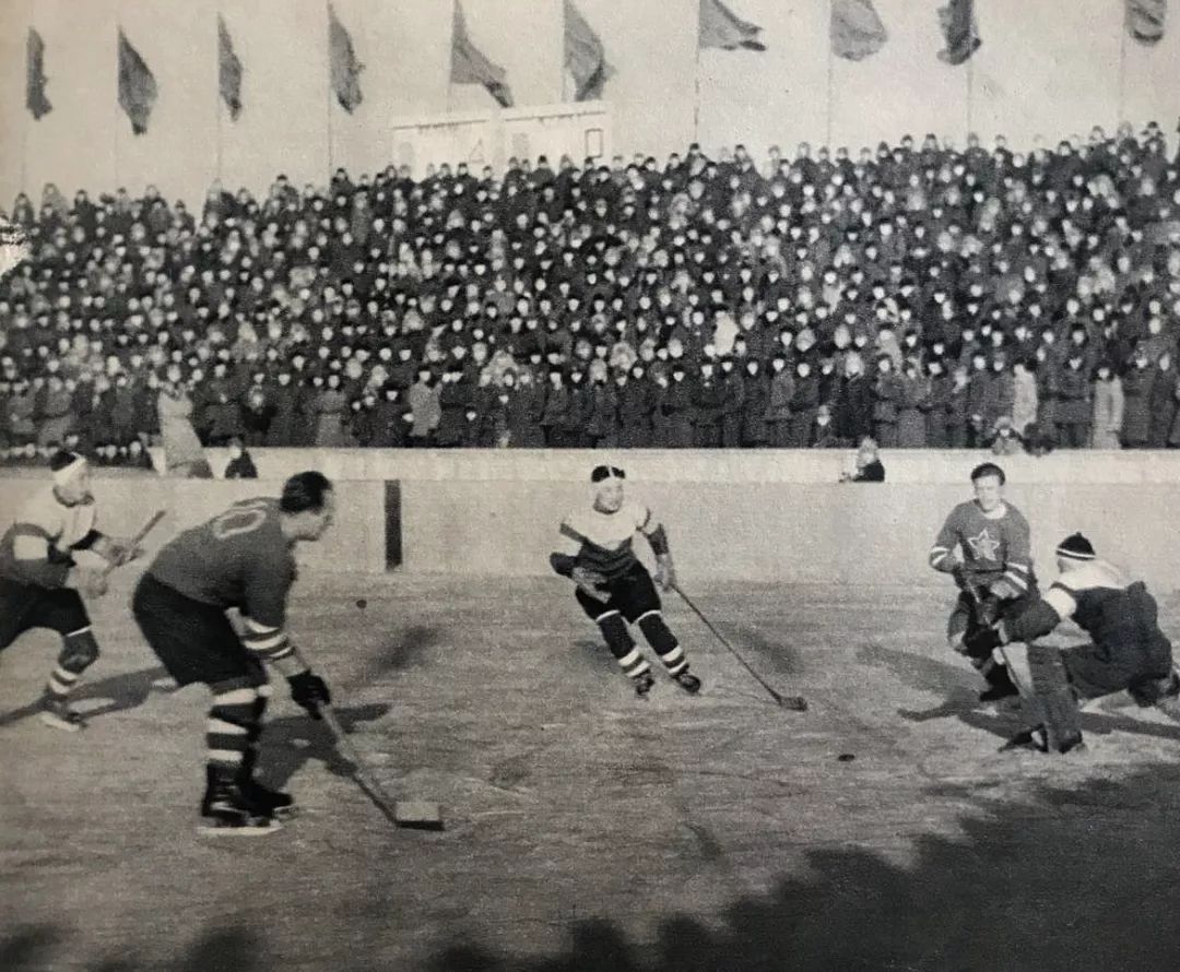 八区体育场拆除后做什么,八区体育场改造后的效果图