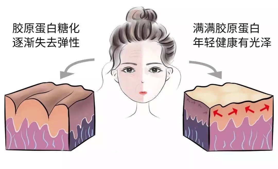 日本“吸油圣斗士”,1天1条,7天瘦出小蛮腰!酸酸甜甜,比果冻还好吃