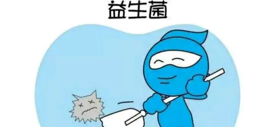 日本“吸油圣斗士”,1天1条,7天瘦出小蛮腰!酸酸甜甜,比果冻还好吃