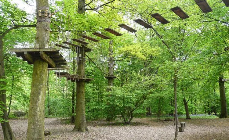 鏍戦《鎺㈤櫓鍏洯娓哥帺,鏍戦《鎺㈤櫓鍏洯娓哥帺鏀荤暐