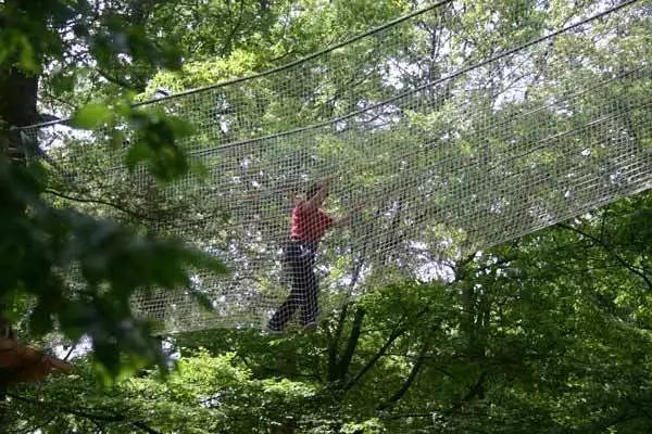 鏍戦《鎺㈤櫓鍏洯娓哥帺,鏍戦《鎺㈤櫓鍏洯娓哥帺鏀荤暐