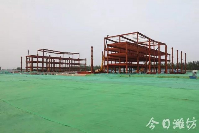 乡村振兴双百典型示范工程,乡村振兴项目四个一批