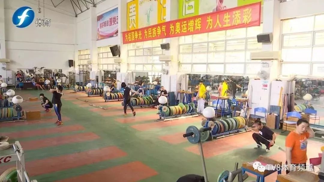 林丹与孙杨谁更厉害,林丹孙杨张继科陈若琳