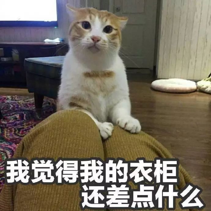 警惕！闵行各大商场*子骗**出没！单身女性请小心