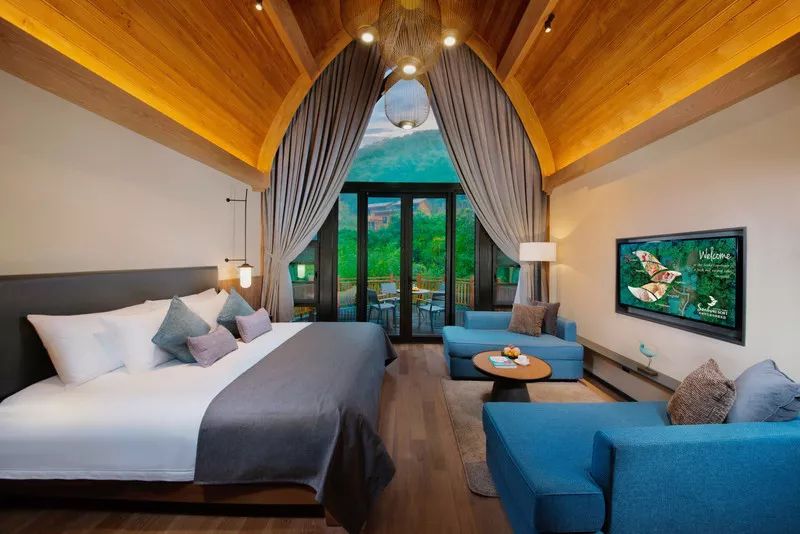 全球最受欢迎树屋酒店｜夜晚坠入大自然的梦乡，清晨在森林的枝桠间醒来