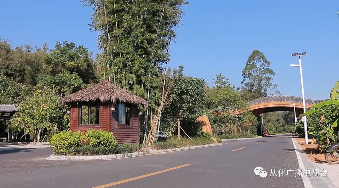 农村美丽庭院志愿服务,志愿者参与美丽乡村墙绘