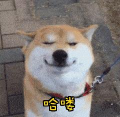 如何手撕票圈秀恩爱？正确踢翻狗粮其实只要三步