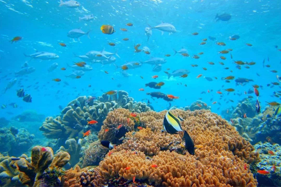 东南亚旅游十大必去地方,东南亚适合旅游的地方排名