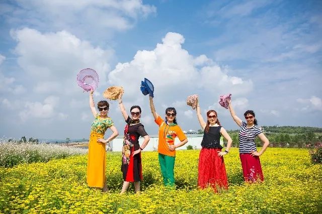 惊艳！花仙子这片向日葵花海盛情绽放！你去看了吗？