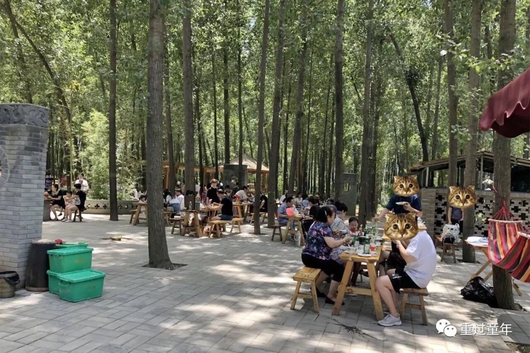 值得一去的农家乐推荐,山间农家乐值得去吗