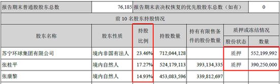 苏宁环球大涨后第二天走势,苏宁环球股票的高光时刻