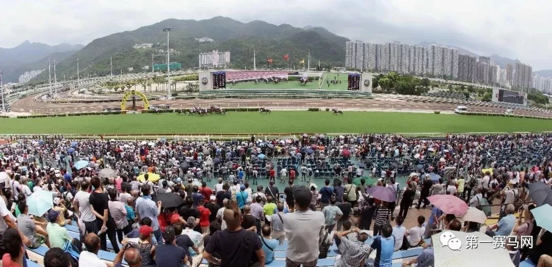 香港马匹比赛最高奖金,香港马拉松完赛1万奖金