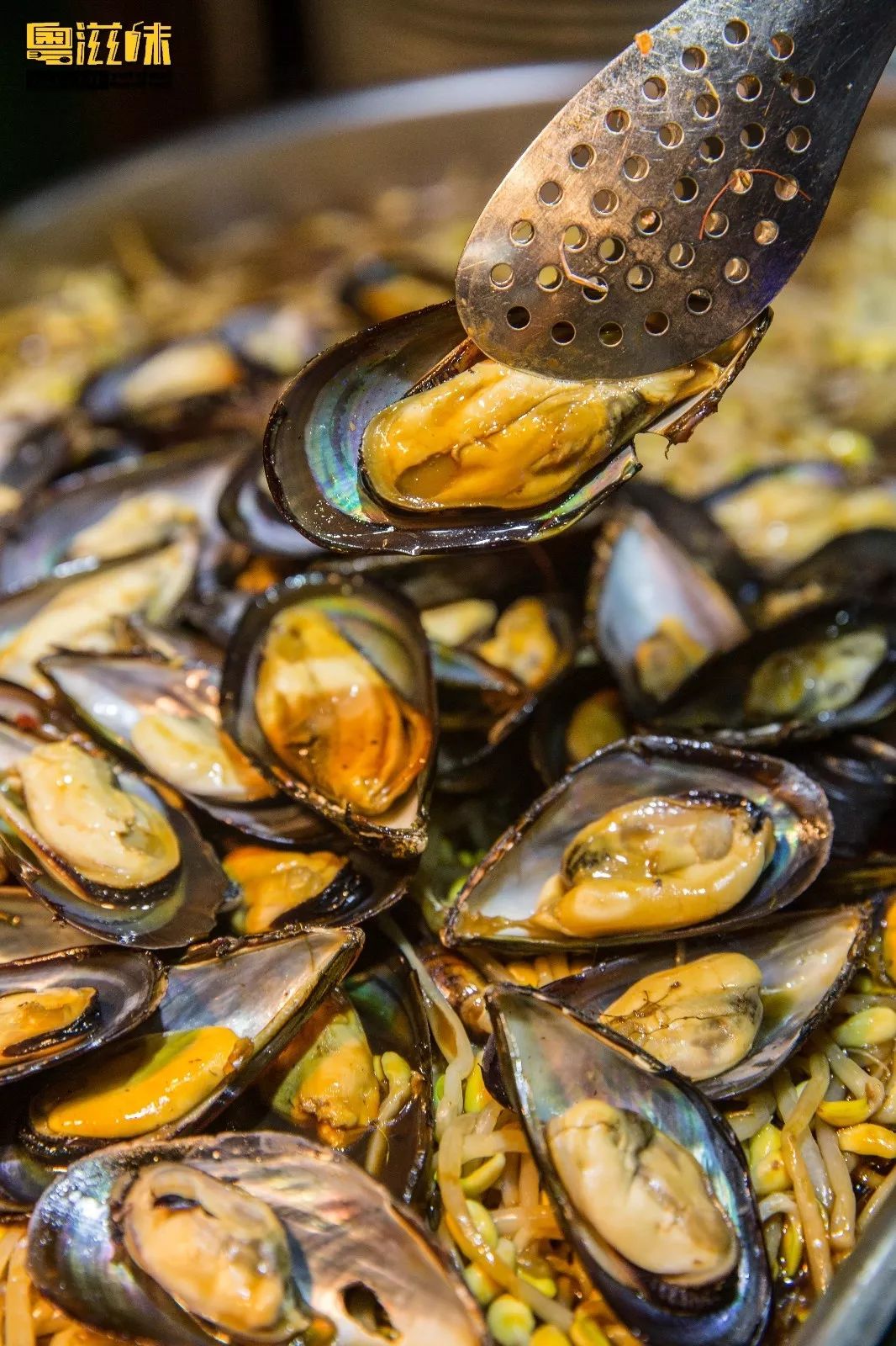 夏日花式玩法！极致视觉体验+五星级海鲜大餐，99元潮玩一整天