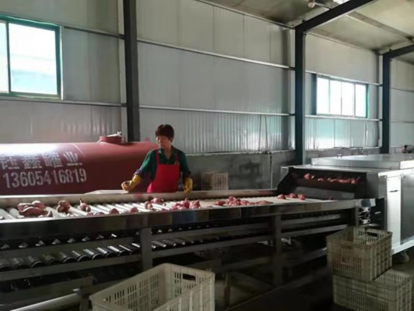 薯立方创业怎么样,章丘文祖薯立方