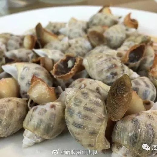 湛江有没有好景点,湛江有没有什么景点