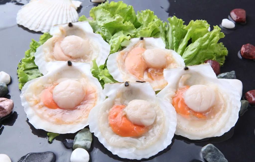 玉林侬,冲鸭!北海8月16日开海,教你在哪里买海鲜最新鲜,最实惠~