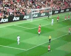 鸟屎为什么有青的,鸟屎为什么是一条条的