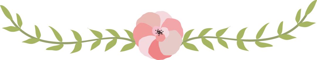 什么是硅藻泥,什么是硅石