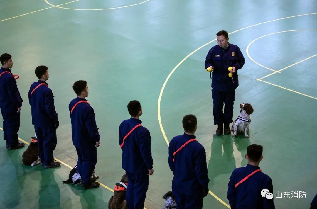 不忘初心警魂牢记使命,不忘初心牢记使命公益救援