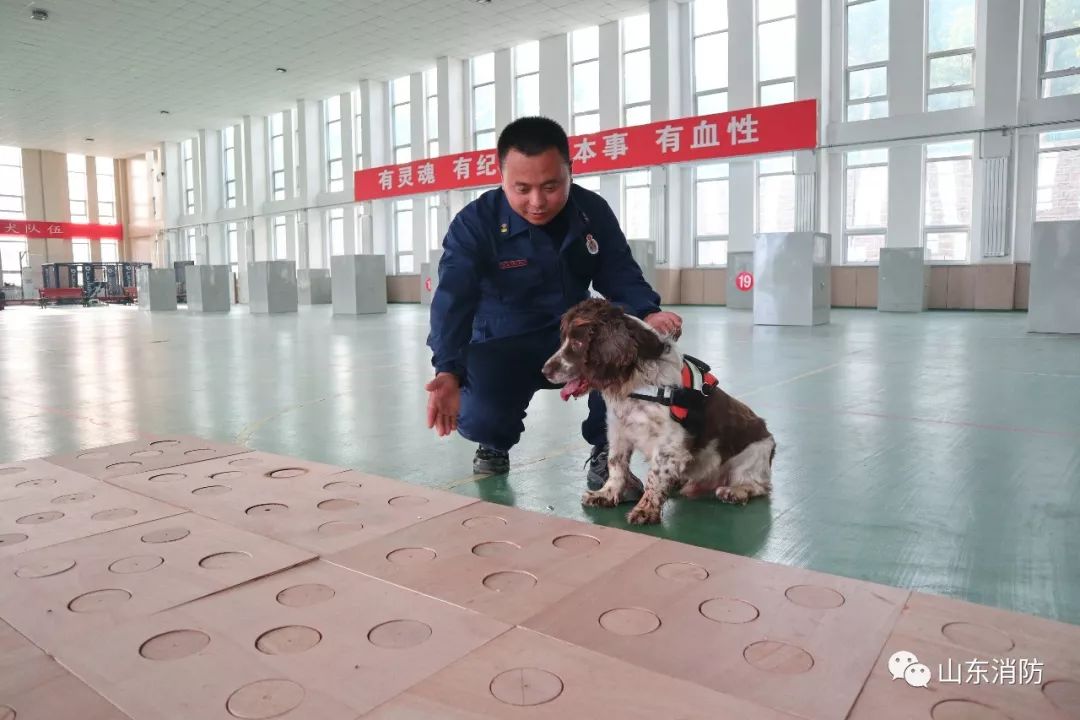 不忘初心警魂牢记使命,不忘初心牢记使命公益救援