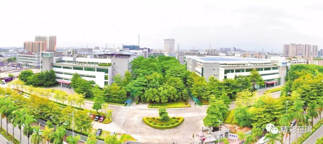 东莞电子龙头企业,东莞市台资电子科技