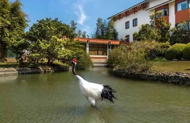 西郊宾馆美如画,西郊宾馆5000平别墅