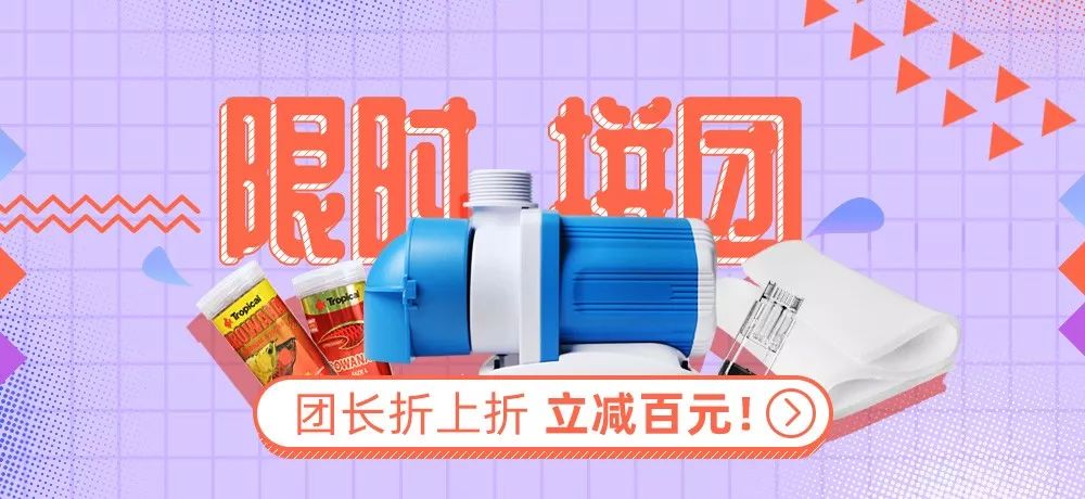 我的罗严重失鰾,都说救不活了但依旧给了我奇迹