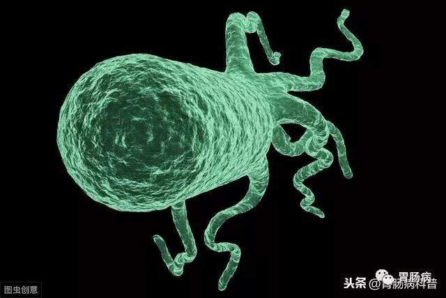 网上说幽门螺杆菌是胃癌的元凶，我查出来阳性，但没有症状，会不会得胃癌？要不要治疗？