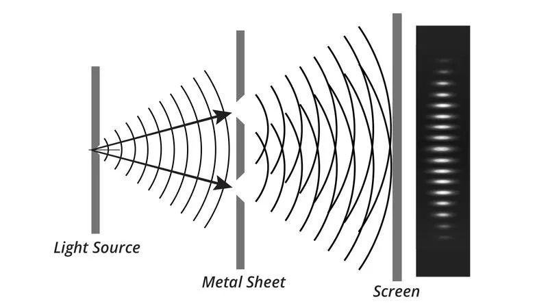 眼睛会发光的小虫,眼睛里有小虫子爬的感觉是咋回事