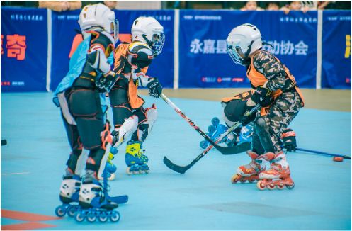 温州龙湾有哪些公办小学,温州龙湾小学最好的三所学校