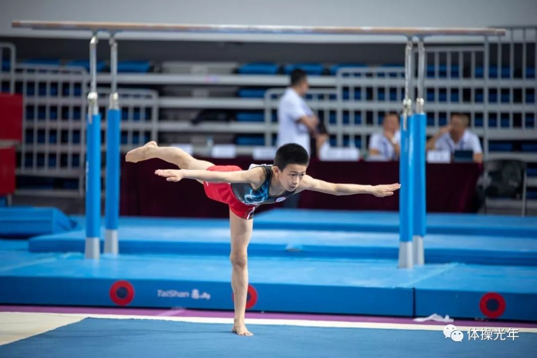 安徽省青少年体操锦标赛,广东省青少年艺术体操锦标赛