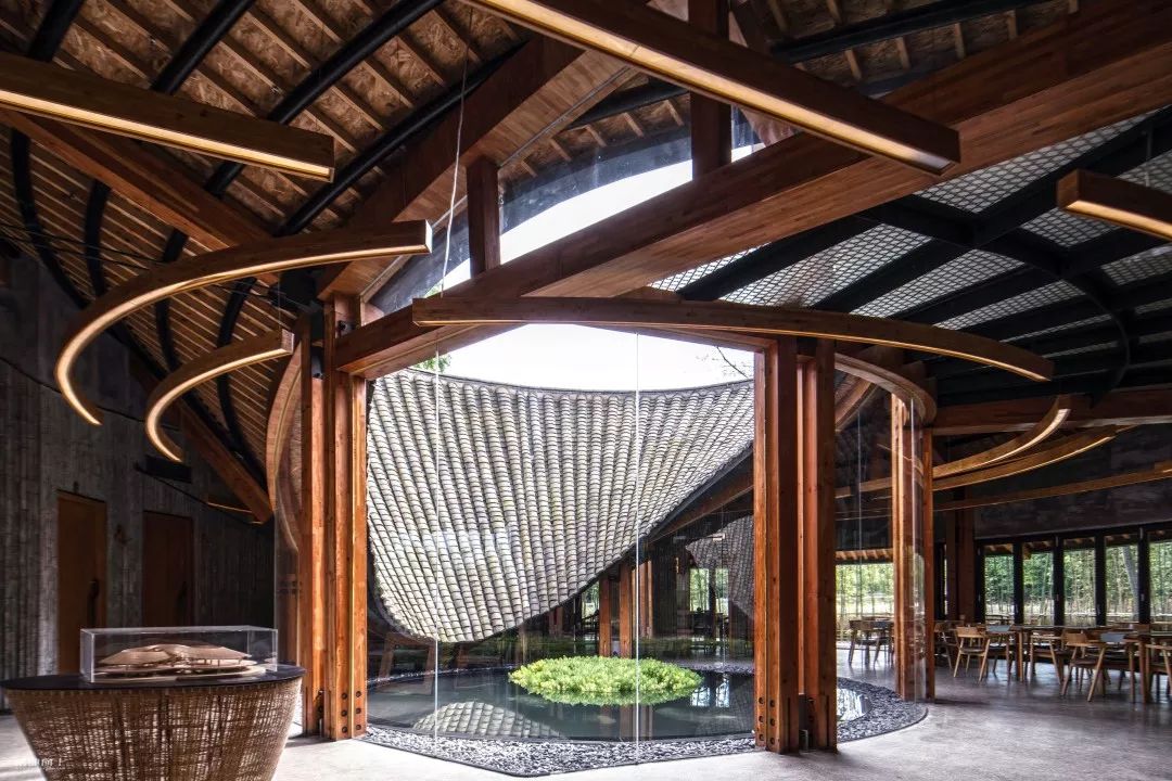 崇州自然赏花美景,崇州青山绿水