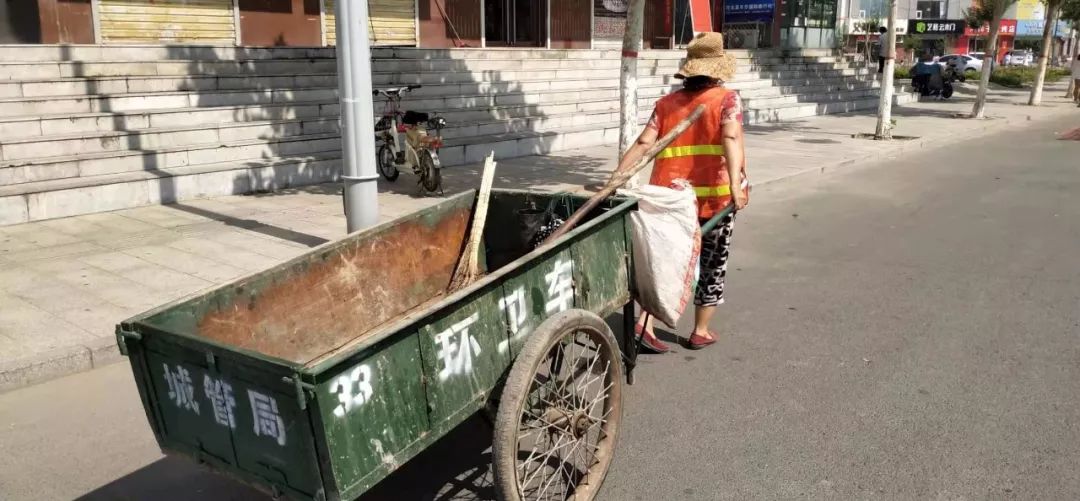 高温下，磁县娇艳的“城市黄玫瑰”