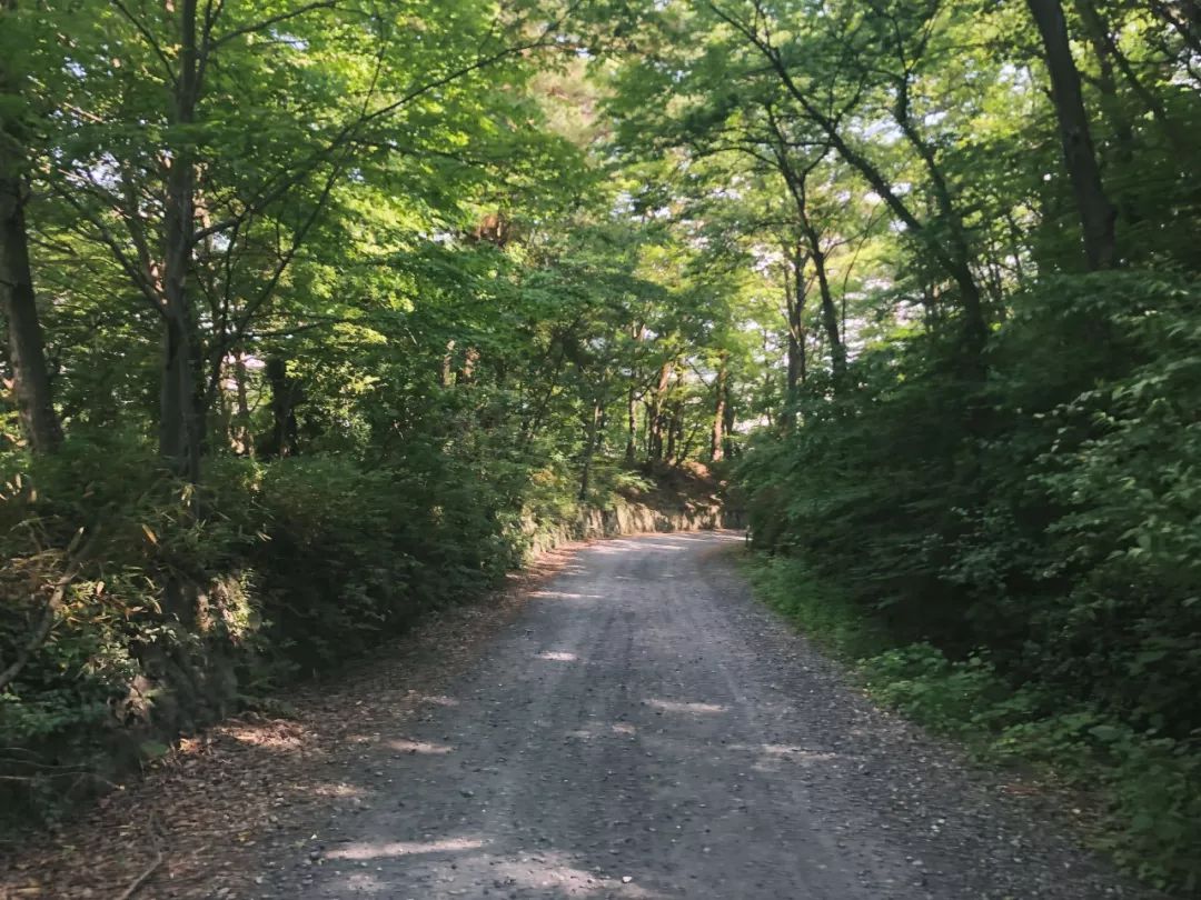 藏于山水间的温泉酒店推荐,海螺沟温泉度假酒店推荐
