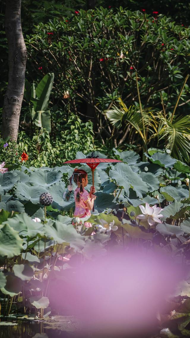 最后的净土,最后的净土格陵兰岛