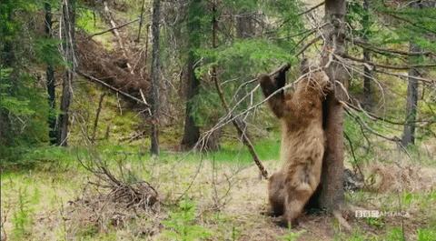 皮肤科止痒药膏,皮肤科医生告诉你瘙痒的秘密