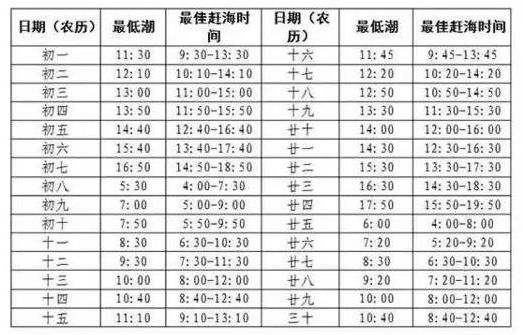 秦皇岛赶海哪里有螃蟹,秦皇岛蟹贝湾赶海