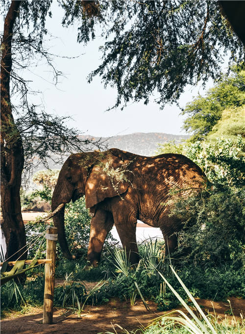 酵素原液能有抗癌功效吗,酵素到底是什么东西能治病吗
