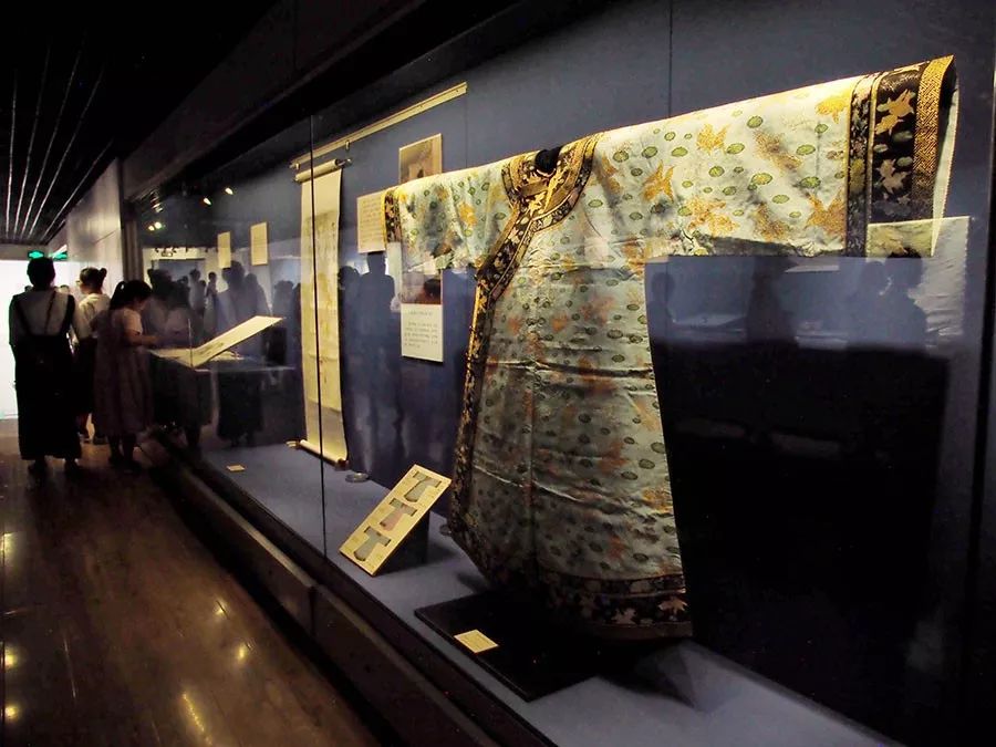 100条金鱼全部视频,100条金鱼视频