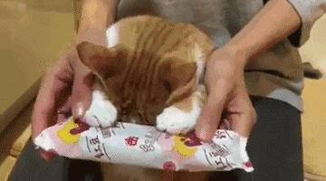 健康丨超实用的急救方法，建议每个人收藏