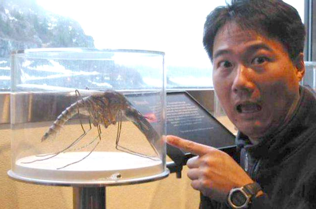 植物妈妈驱蚊喷雾,植物萃取喷雾防蚊驱蚊