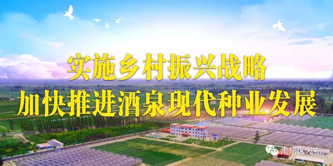 透过新闻眼，了解肃州事~~